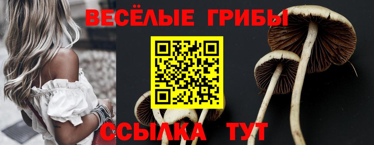 Псилоцибиновые грибы прущие грибы  как найти закладки  Ефремов  Вход с VPN 